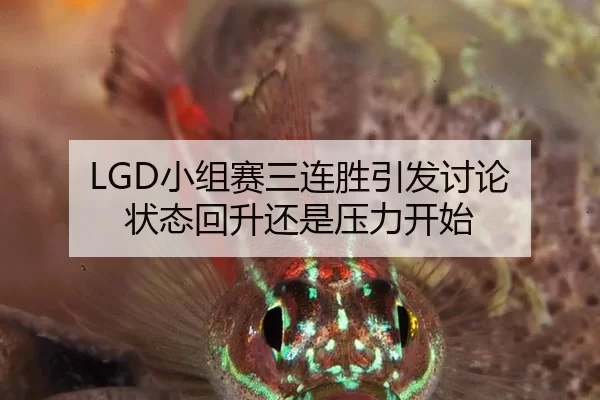 LGD小组赛三连胜引发讨论 状态回升还是压力开始 - kaiyun